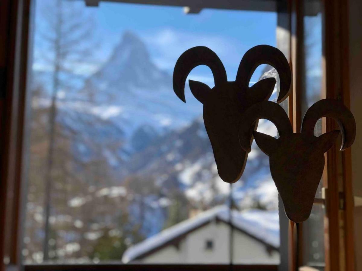 Apartment With Beautiful Views In Zermatt Esterno foto
